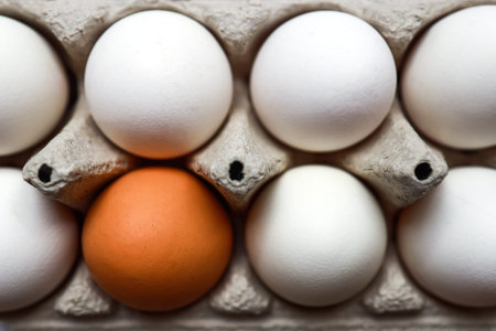 close up shot of egg whites in a paper carton with one brown among them, diversity and uniqueness,...