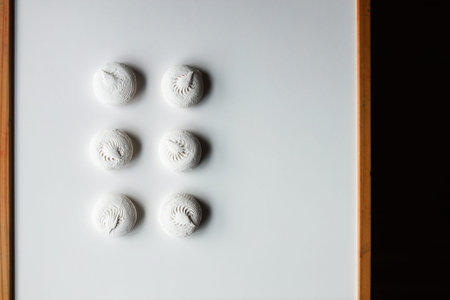 White sweet dessert zephyr marshmallows on white table with wooden sides. Stylish confectionery...