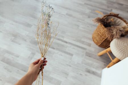 womans hand with floral nail design holding dry plant for herbarium in rustic interiorの写真素材