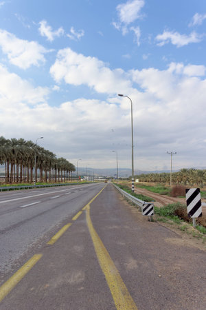 The road from Qasr al-Yahud to Jerusalem. Planting of palm trees.の写真素材
