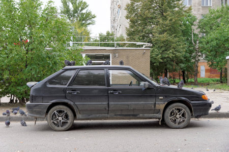 City pigeons brazenly settled on a standing car VAZの写真素材