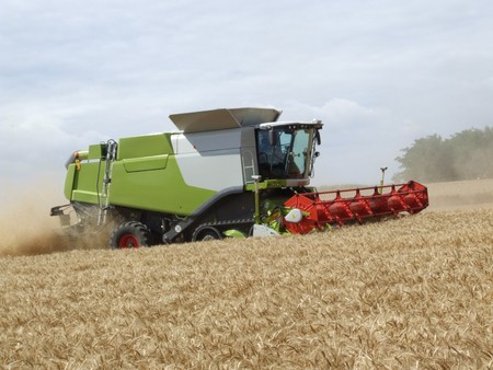Wheat harvestingの写真素材
