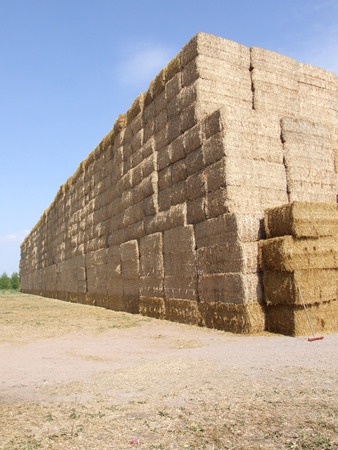 Stack of strawの写真素材