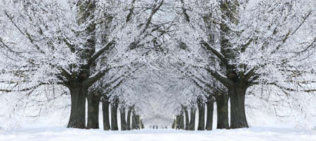 winter alleyの写真素材