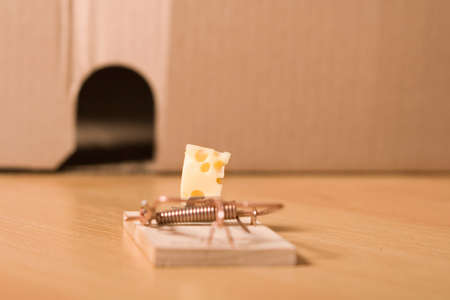 mousetrap and cheeseの写真素材