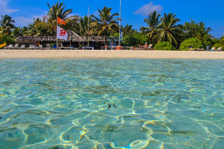 Island fun island in maldivesのeditorial素材