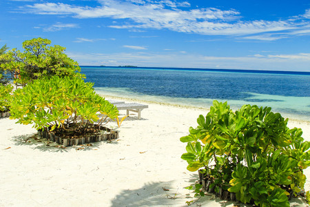 The beaches of the Maldivesの写真素材