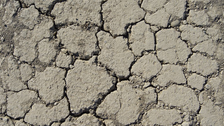 brown ground
