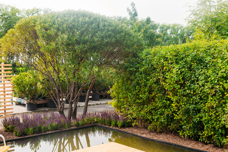 beautiful place for rest outdoor relax zoneの写真素材