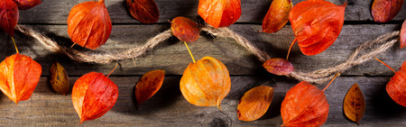 Physalis on the boards, backgroundの写真素材