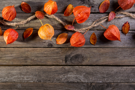 Physalis on the boards, backgroundの写真素材