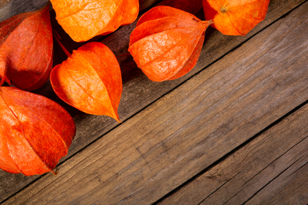 Physalis on old wooden backgroundの写真素材