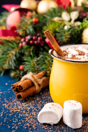 Christmas hot cocoa or chocolate with marshmallowsの写真素材