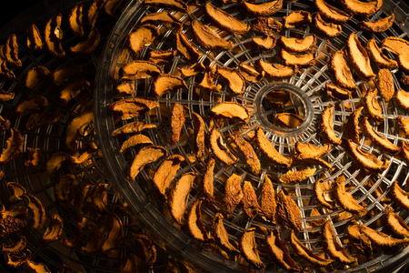 Dried apples on a drying tray with sunlightの写真素材