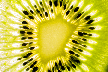 kiwi macro backgroundの写真素材