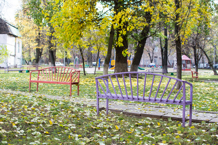 lonely bench in the parkの写真素材