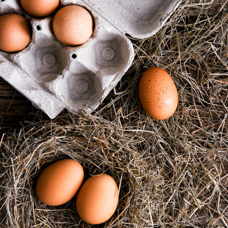 Chicken eggs in a wicker nest and in a box in a chicken coop top view. Natural organic eggs in the...