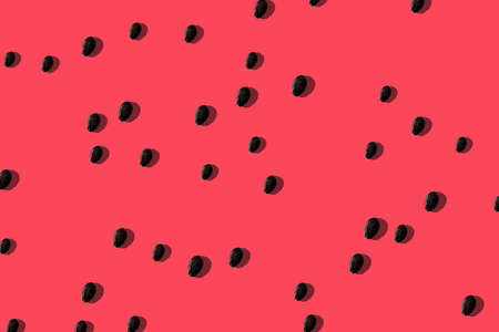 Watermelon bones with hard shadows on a red background.の写真素材
