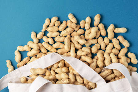 Dried uncleaned peanuts from a fabric bag on a blue background.の写真素材