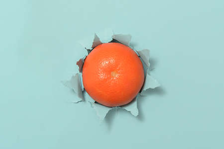 A ripe tangerine through torn blue paper.の写真素材