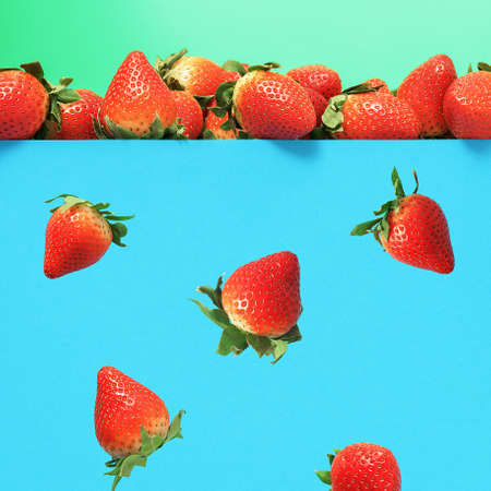 Falling ripe juicy strawberries on a blue background.の写真素材