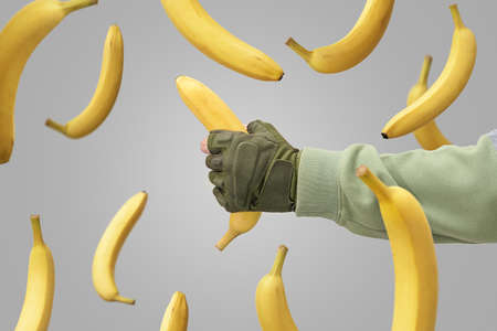 A man's hand caught a falling banana. Falling bananas against a gray background.の写真素材