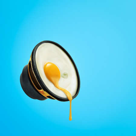 Loudspeaker in the shape of an eggの写真素材