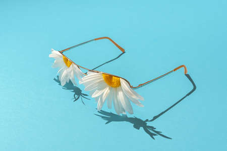 A creative summer vacation concept. Sunscreen sunglasses with camomiles instead of lenses on a blue background.の写真素材