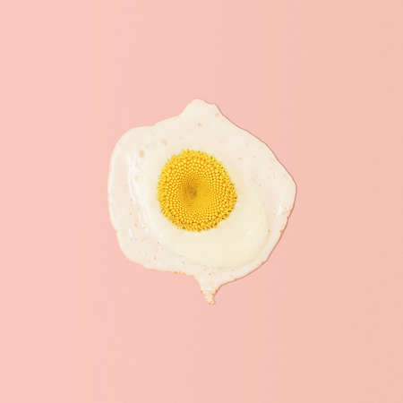 A creative summer breakfast concept. Scrambled eggs with daisy yolk on a pink background. Top view.の写真素材