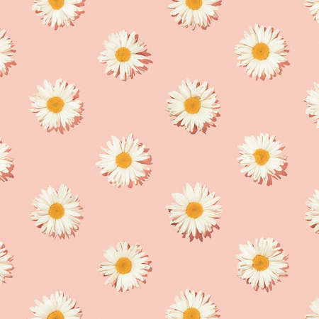 Creative floral pattern of daisy flowers on a pink background. Top view.の写真素材