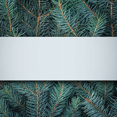 Creative layout of spruce branches with a copy space. Christmas background. Flat lay.の写真素材