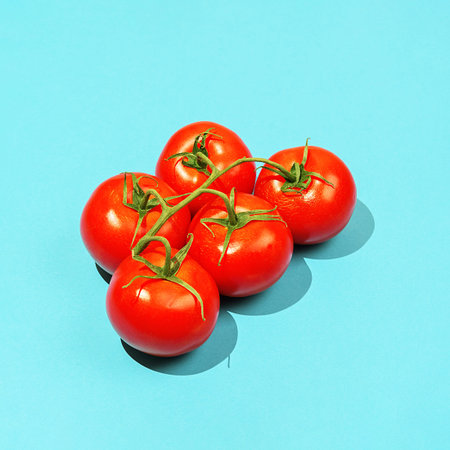 Ripe tomatoes on a branch on a blue background with sharp shadows.