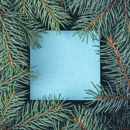 Creative layout of spruce branches with a blank note card. Christmas background. Flat layの写真素材