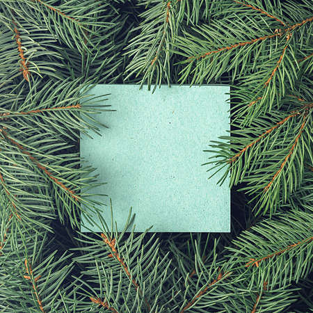 Creative layout of spruce branches with a blank note card. Christmas background. Flat layの写真素材