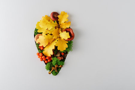 Creative forest autumn geo-tag on gray background with copy space.の写真素材