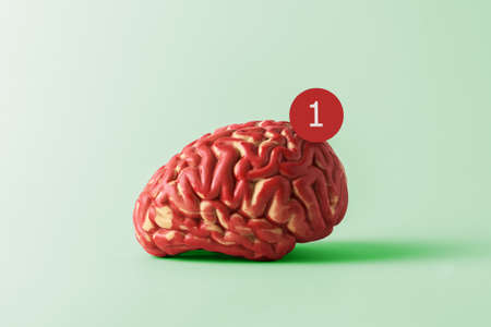 Creative conception of creative thinking. Model of the human brain with notification on a green background.の写真素材