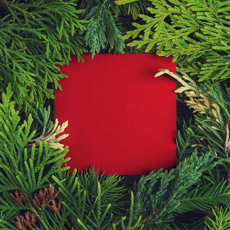 Creative christmas mock-up of pine and juniper branches with a red blank card.の写真素材