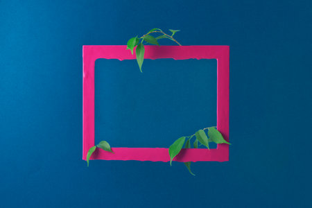 Creative layout of a pink rectangular frame and branches with leaves on a dark blue background.の写真素材