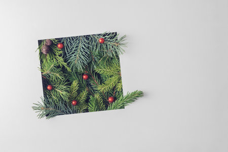 Creative Christmas layout of spruce branches sticking out of a square slot.の写真素材