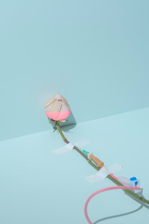 Creative concept of medical recovery or treatment. Languid rose with a medical drip on a blue background.の写真素材
