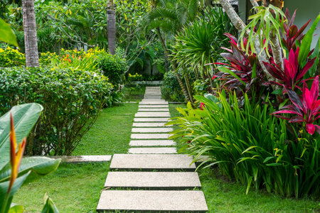 Well-kept tropical garden with a path after the rain.の写真素材