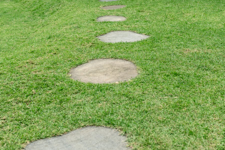 Garden path made of oval tiles on green lawn. close-up.の写真素材