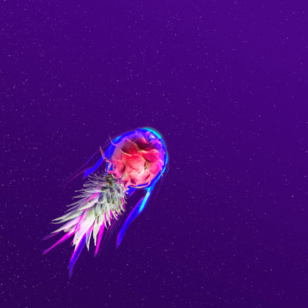 Creative concept of food art. Dragon fruit with pineapple tops flying into space.の写真素材