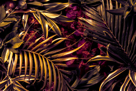 Creative natural background of tropical leaves. nature concept.の写真素材