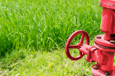 concept of irrigation. Red water faucet valve against the background of rice fields.の写真素材