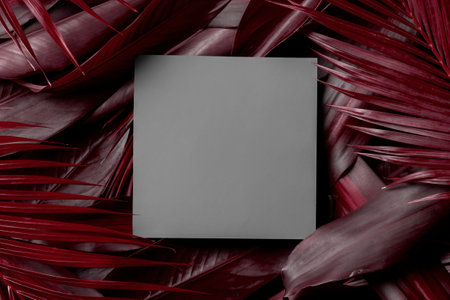 Creative natural layout of red tropical leaves with a gray square card.の写真素材