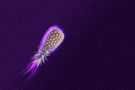 creative fruit concept. Pineapple in the shape of a rocket or comet flies in outer space.の写真素材