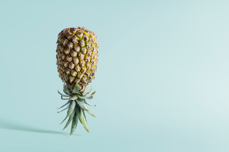 Inverted pineapple stands on a green background with a copy of the space.の写真素材