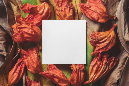 Creative layout of dead tropical leaves and flowers with a square note.の写真素材