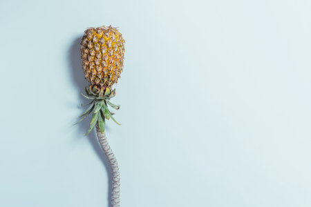 Creative concept of exotic fruits. Pineapple growing on the trunk of a palm tree against a blue background.の写真素材